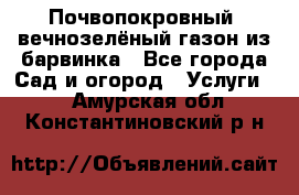 Почвопокровный, вечнозелёный газон из барвинка - Все города Сад и огород » Услуги   . Амурская обл.,Константиновский р-н